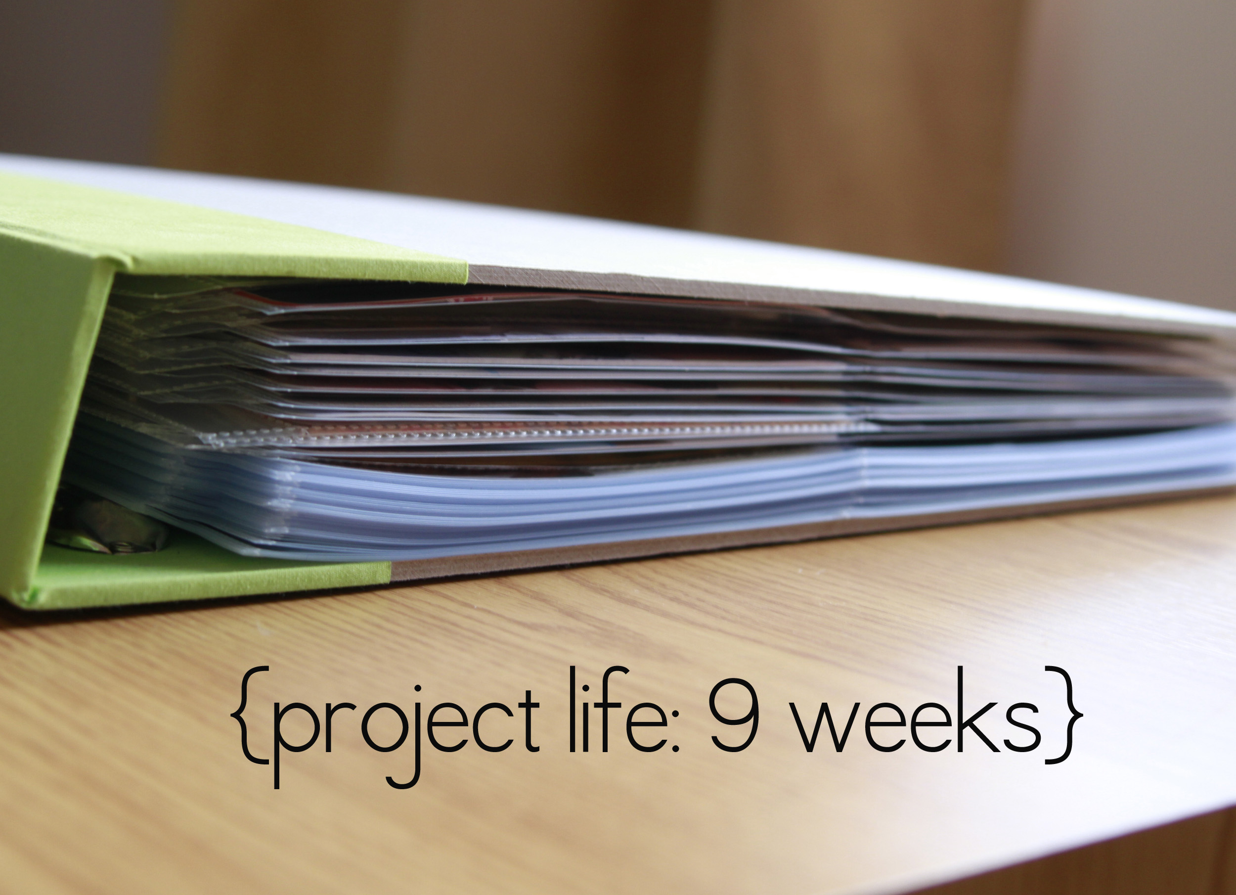Projectlife_9w